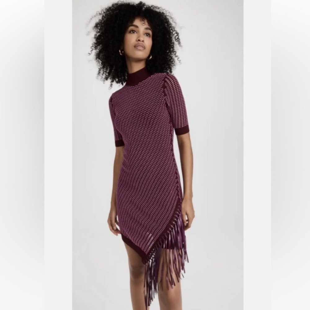 Johnathan Simkhai Orla Assymetrical Fringe Dress
